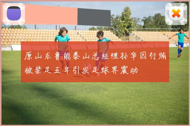 原山东鲁能泰山总经理孙华因行贿被禁足五年引发足球界震动